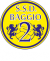 logo BAGGIO II