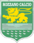logo ROZZANO