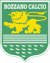 logo ROZZANO